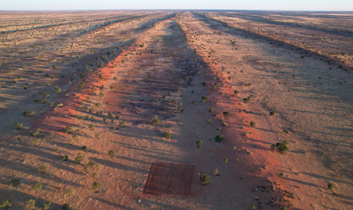 : Seawater Solutions/NARA’s initial pilot site in the Kalahari Desert. This 1ha site sits on a 9000ha parcel of land which is primarily unproductive