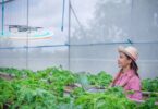 2024 Agricultural Trends and Climate-Smart Innovations