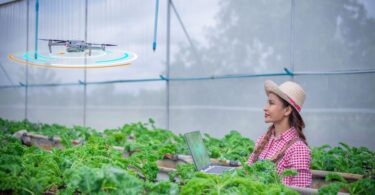 2024 Agricultural Trends and Climate-Smart Innovations