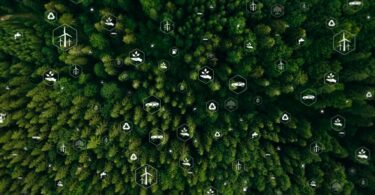 Aerial view of forest canopy with sustainability and climate icons, symbolising ecosystem productivity and carbon storage