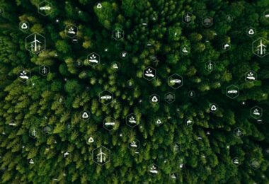 Aerial view of forest canopy with sustainability and climate icons, symbolising ecosystem productivity and carbon storage