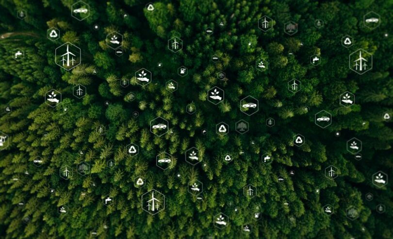 Aerial view of forest canopy with sustainability and climate icons, symbolising ecosystem productivity and carbon storage
