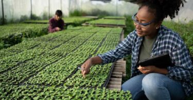 Female agronomist using digital tools to monitor seedlings in a greenhouse, symbolising climate-resilient agriculture.