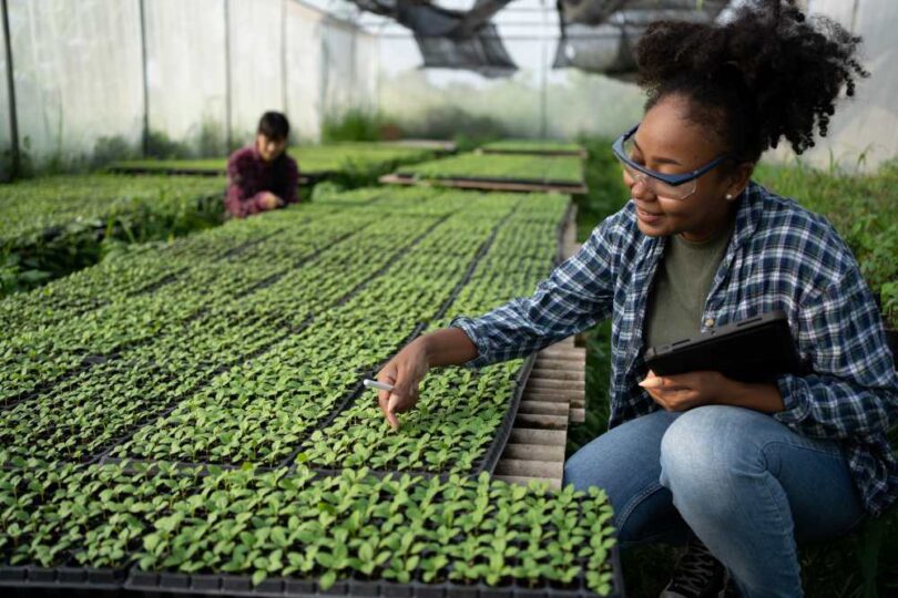 Female agronomist using digital tools to monitor seedlings in a greenhouse, symbolising climate-resilient agriculture.