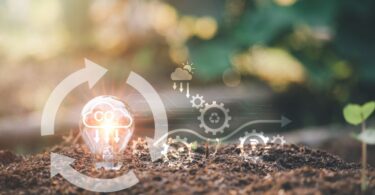 European field demonstrating regenerative agriculture methods as part of soil carbon credit initiatives.