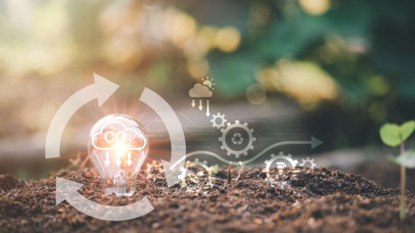 European field demonstrating regenerative agriculture methods as part of soil carbon credit initiatives.