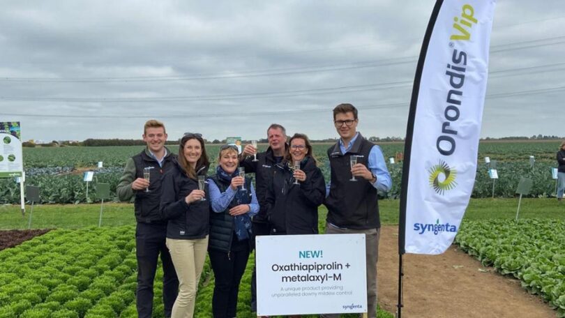 Syngenta team at the launch of ORONDIS® Vip fungicide for brassicas, alliums and salads in Lincolnshire, UK.