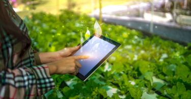AI-driven indoor greenhouse with vertical farms and sensors