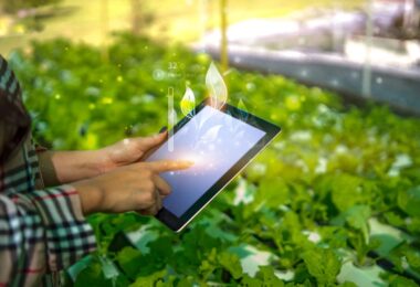 AI-driven indoor greenhouse with vertical farms and sensors