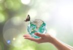 Hands holding a small Earth globe with a butterfly landing on it, symbolising global action to protect biodiversity.