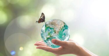 Hands holding a small Earth globe with a butterfly landing on it, symbolising global action to protect biodiversity.