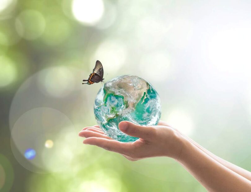 Hands holding a small Earth globe with a butterfly landing on it, symbolising global action to protect biodiversity.