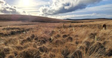 Peatland restoration works on Dartmoor supported by Pennon through its Upstream Thinking programme