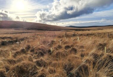 Peatland restoration works on Dartmoor supported by Pennon through its Upstream Thinking programme