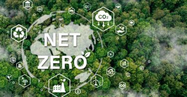 Net zero concept showing forest landscape with carbon reduction and sustainability icons