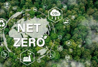 Net zero concept showing forest landscape with carbon reduction and sustainability icons