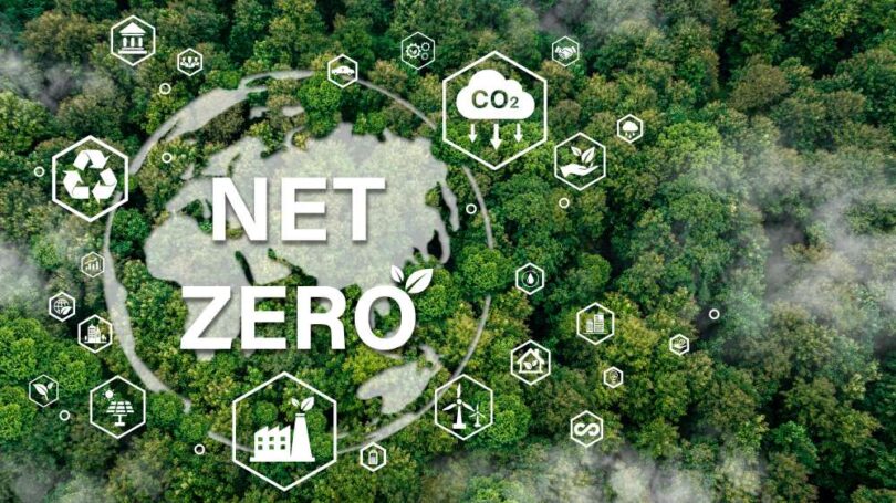 Net zero concept showing forest landscape with carbon reduction and sustainability icons