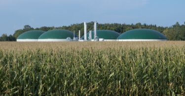 anaerobic digestion renewable natural gas facility beside agricultural crops