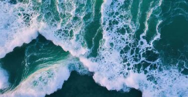 Seawater used in direct seawater hydrogen electrolyser demonstration