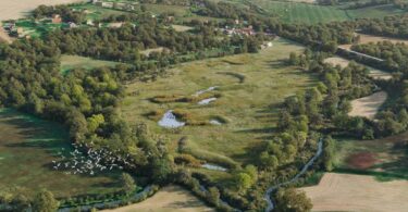 Aerial view of the 17-hectare Ashurst biodiversity net gain site in Kent, where Wates Wildscape and Cura Terrae are creating grasslands, woodlands, ponds and wetland habitats.