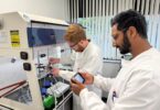 Researchers checking ammonia levels in a Rhizo PTX electrolyser using laboratory analysis equipment