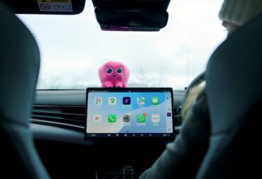Octopus Electroverse app visible on an electric car dashboard