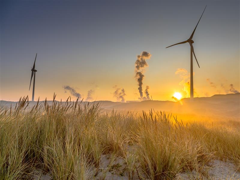 Wind turbines behind dune vegetation at sunset