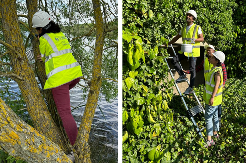 Researchers installing sensors on a green wall for an urban heat study