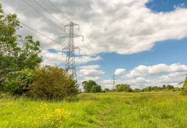 Electricity pylons beside buttercup flowers.