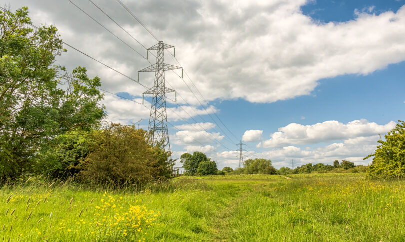 Electricity pylons beside buttercup flowers.